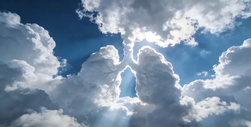 广安肺癌靶向120基因检测（组织）图片1