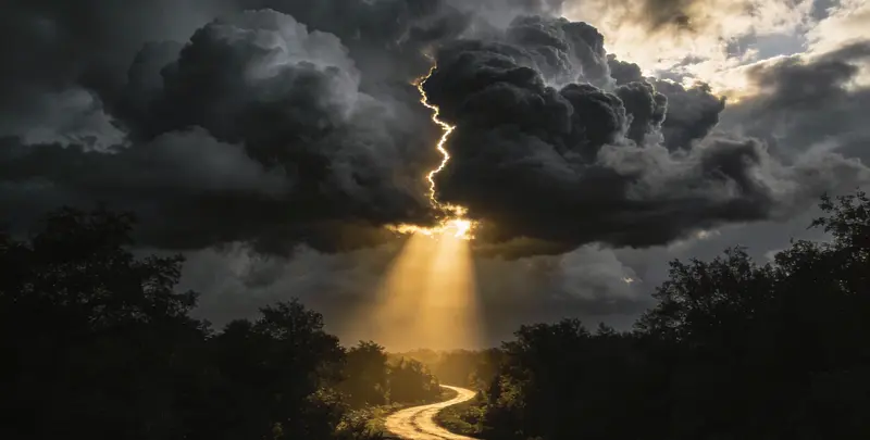 肺癌靶向39基因检测及PDL122C3表达检测套餐（组织）图3