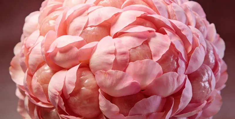 广安BRCA1/2乳腺癌卵巢癌基因检测图片1